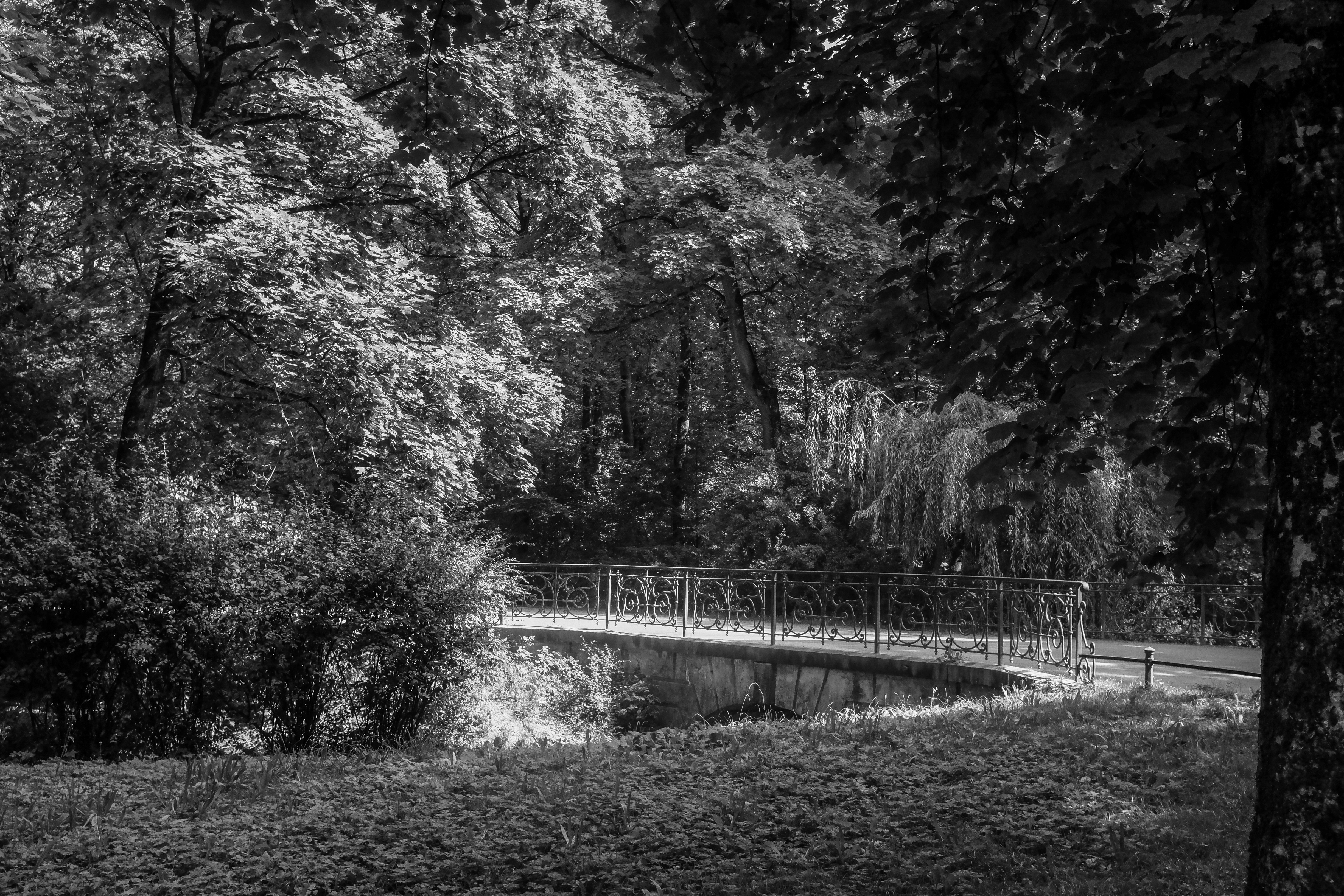 Munich